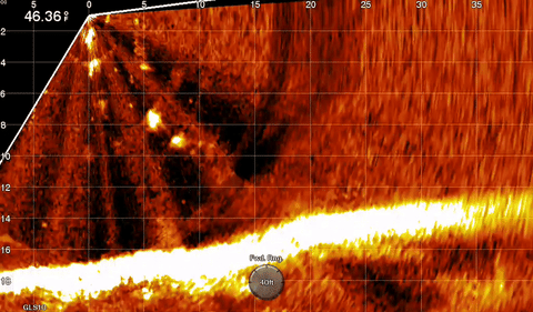 Musky Fishing Forward Facing Sonar: Livescope Muskie Fishing