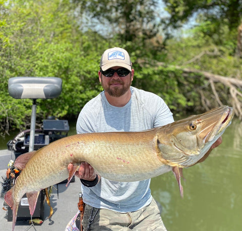 Melton Hill Musky Guide: Melton Hill Musky Fishing