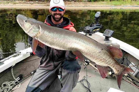 Early Season Lake of the Woods Muskies