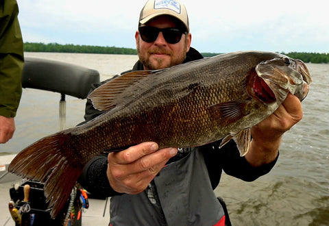 How to catch bass with LiveScope: Catching bass with Forward Facing Sonar
