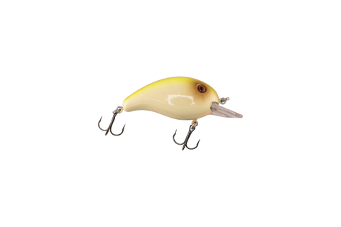 Dive Master Jr
