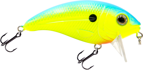 Bull Nose