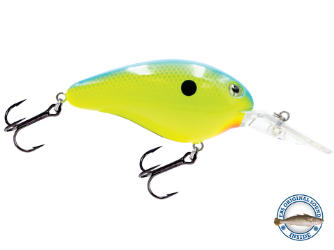 Dive Master 14