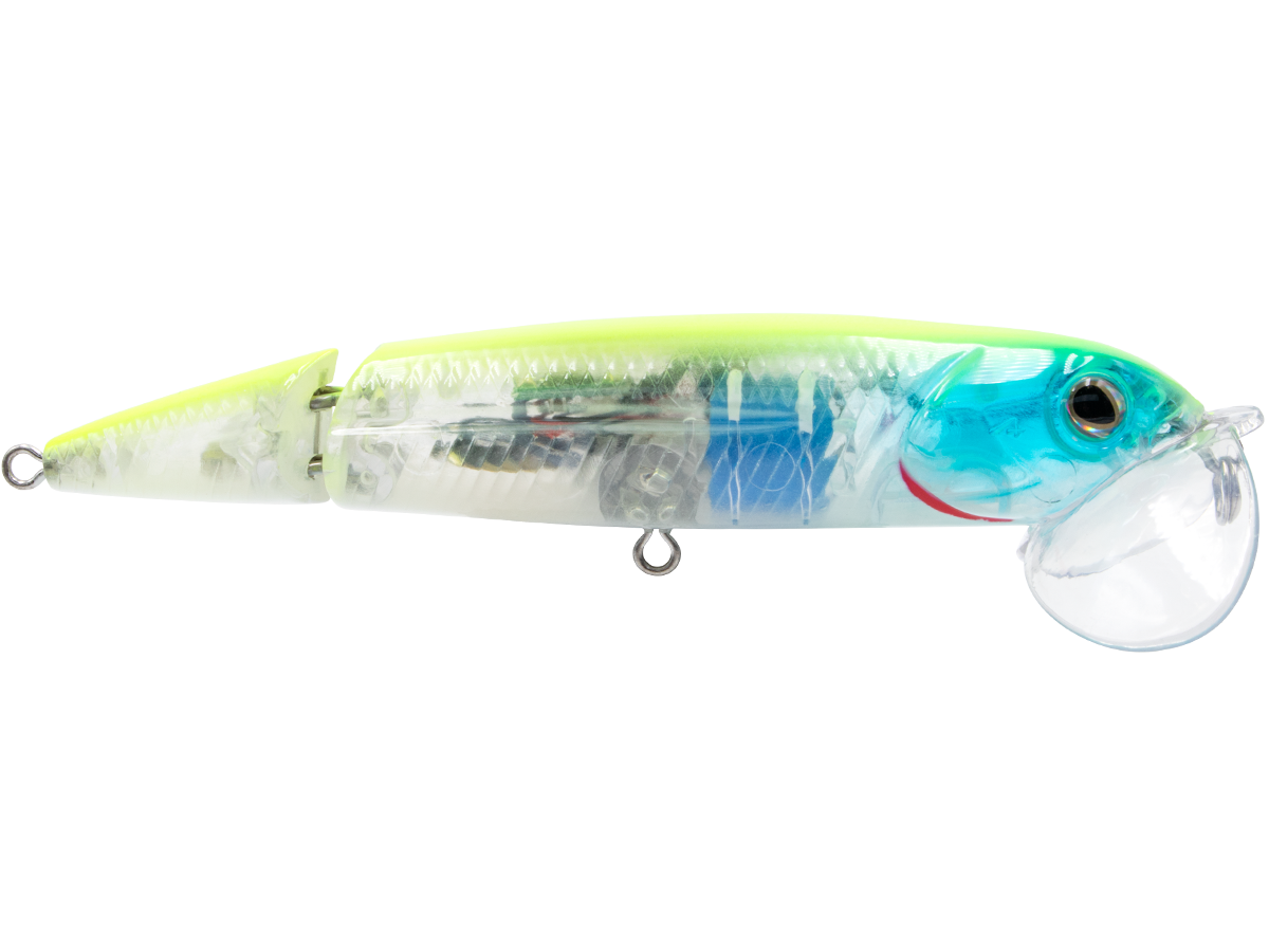 13429profile.png?v=1744815198