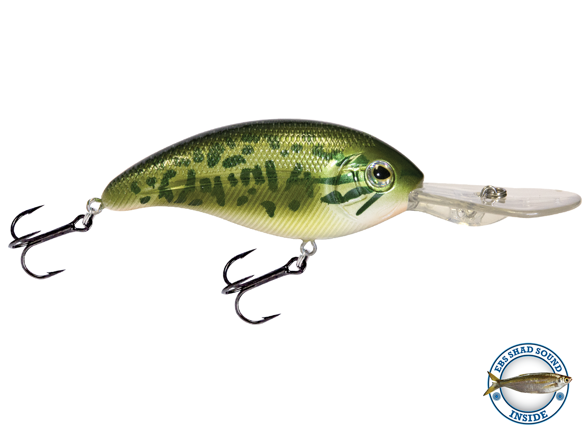 Deep Impact 18 – Livingston Lures