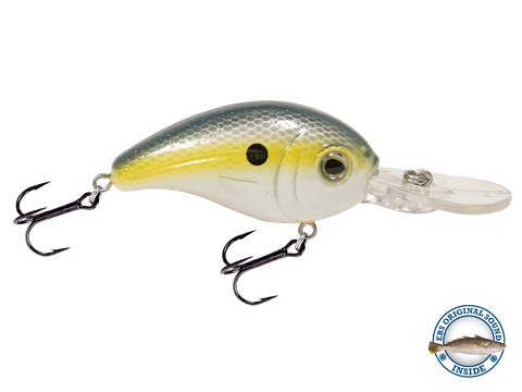 Dive Master Jr 8