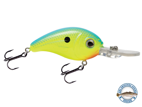 Dive Master Jr 8