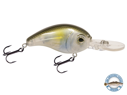 Dive Master Jr 8