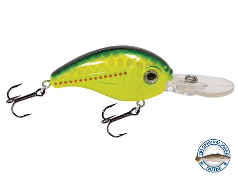 Dive Master Jr 8
