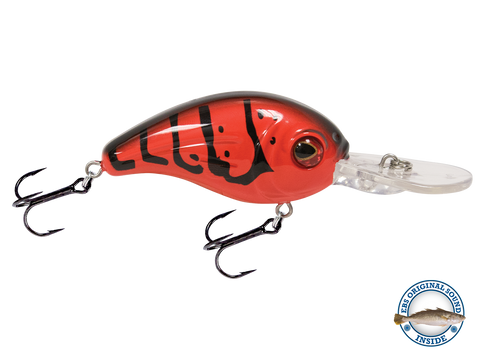 Dive Master Jr 8