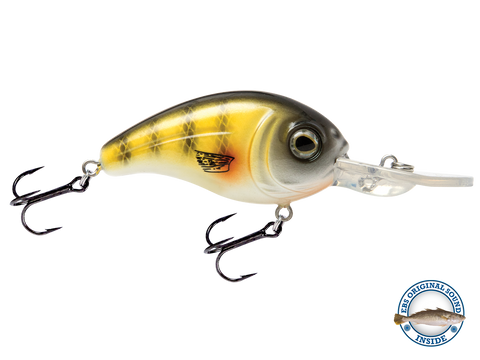Dive Master Jr 8