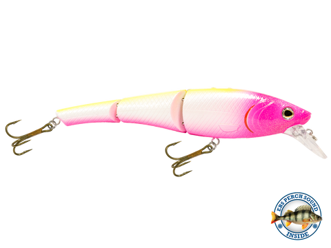 Head Hunter 6"
