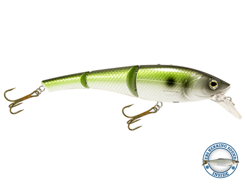 Head Hunter 6"