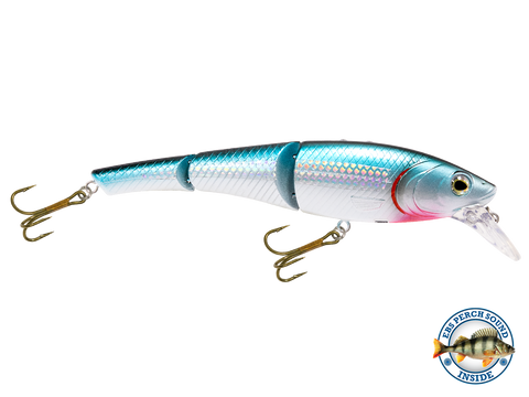 Head Hunter 6"