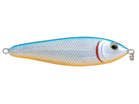 EBS Jigging Spoon