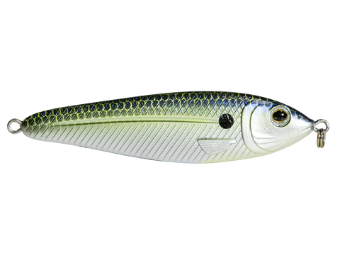 EBS Jigging Spoon