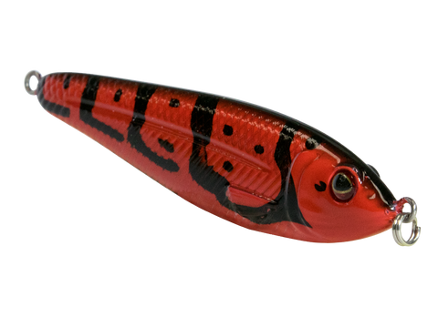EBS Jigging Spoon