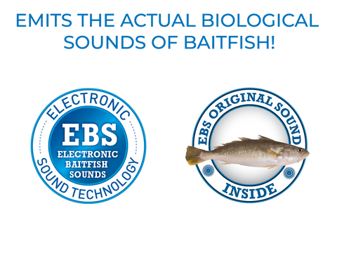 EBS Jigging Spoon