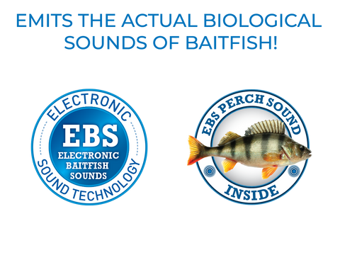 Sale Item - EBS Spinner 50