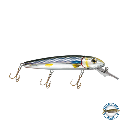 Rachel (Suspending) 8"