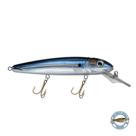 Rachel (Suspending) 8"