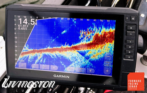 THE DIGITAL CATCH:  HOW TECHNOLOGY IS TRANSFORMING FISHING