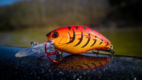 Angling Internaional: How sound tech gives lure brand an unbeatable edge