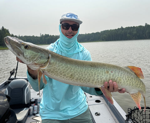 Unlocking the Edge: Sound Strategy for Pressured Canadian Muskies