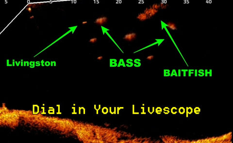 How to set LiveScope for Bass Fishing: Forward Facing Sonar Settings for a Clear Screen and Seeing Bass