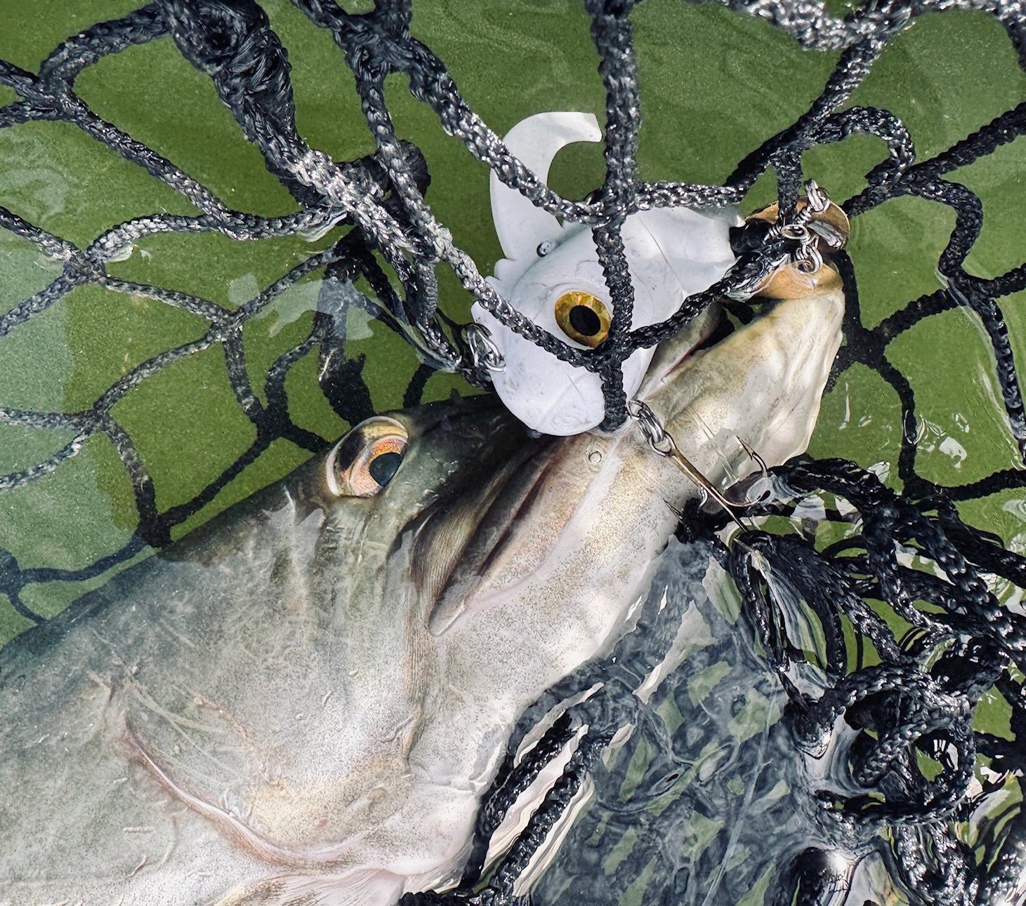 Introducing The Critter: A Game-Changing Muskie Lure for 2026