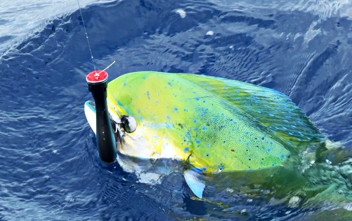Best Saltwater Popper: Why the Livingston Lures Big Poppa Dominates Of