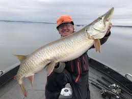 Steve Herbeck on Fall Muskies