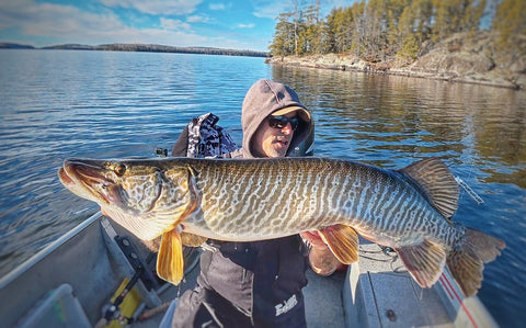 Winter Tiger Muskie Fishing: The Best Winter Spots, Patterns, and Lures to Catch Tiger Muskies