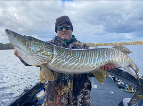 Fall Tiger Muskie Fishing: How to Catch Tiger Muskies in the Fall