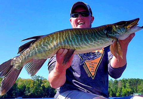 Suspended Tigers How to Target Open Water Tiger Muskies with Precision