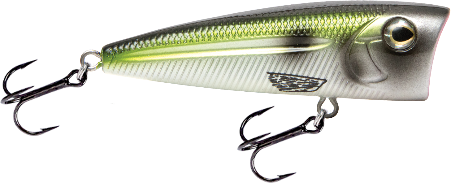 upside down yellow backs着用　ナショナルズ　7 1/4 upside down yellow backs着用 ナショナルズ 7 1/4 EXCLUSIVE