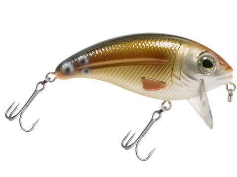 bullnose fishing lure Bull Nose SW – Livingston Lures