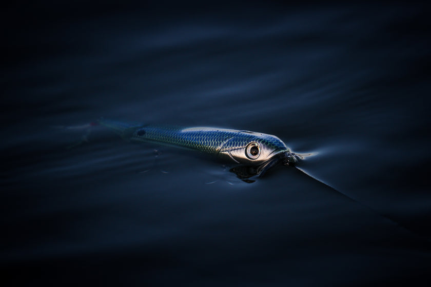 Livingston Lures Flipper - Shallow 3.7 oz