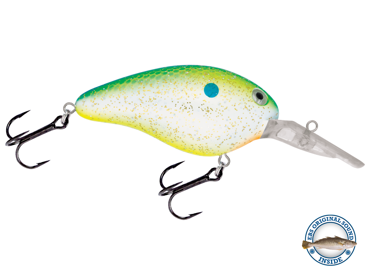 DIVE BAIT ルアー 190WS 210WS 240WS 240R LOCAL STANDARD(ローカル