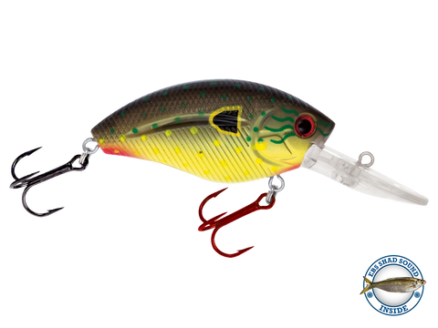 Bigger Size – DM Cricket Lures