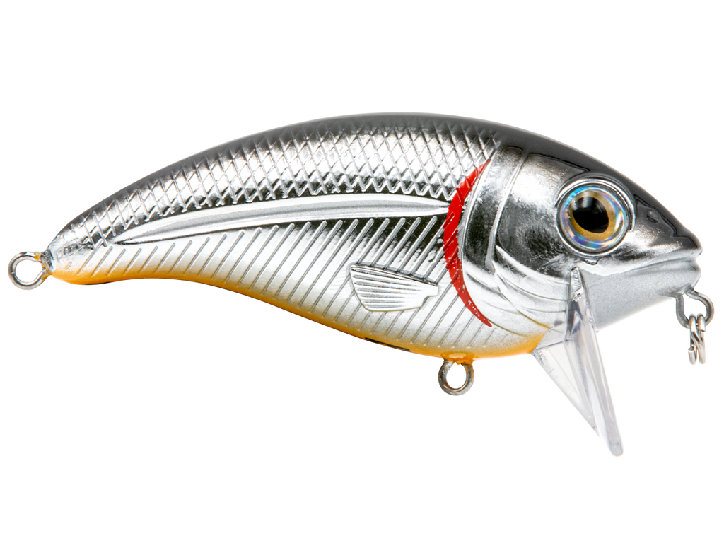 Bull Nose – Livingston Lures