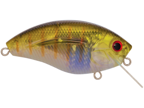 ac fishing lure Head Hunter 8" Livingston Lures From black bass to pan fish and stripers to salmon AC Spark Plug Novelty Fishing