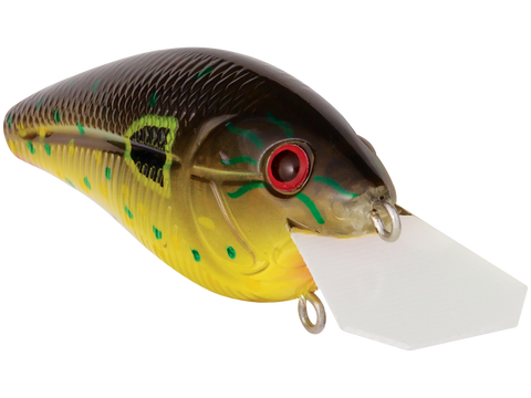 Primetyme CB 1.5