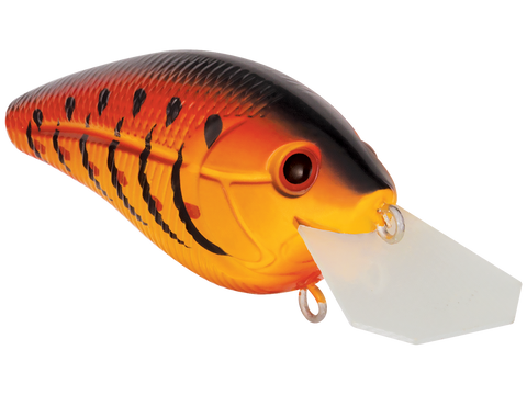 Primetyme CB 1.5