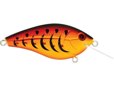 Primetyme CB 1.5