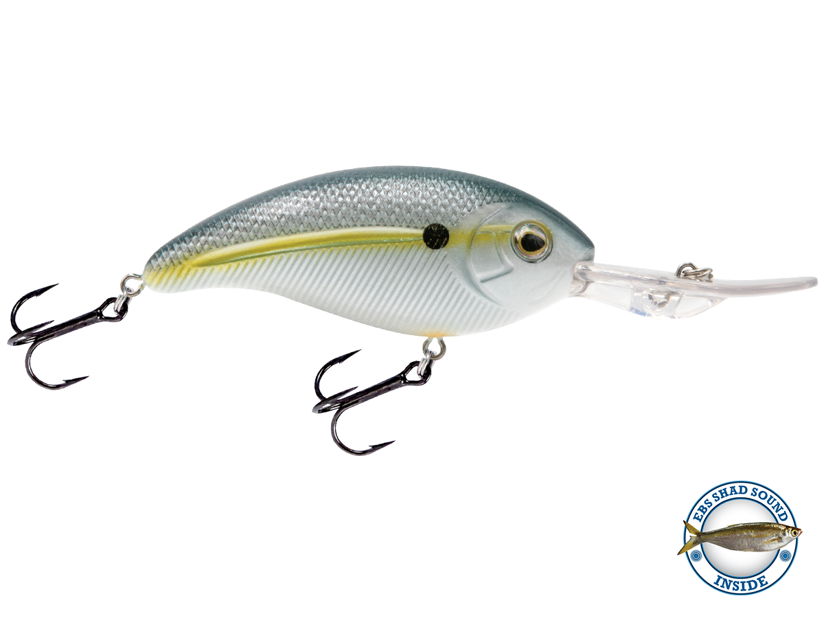 LIFE BAIT 、アブディール 3303profileHooks.png?v=