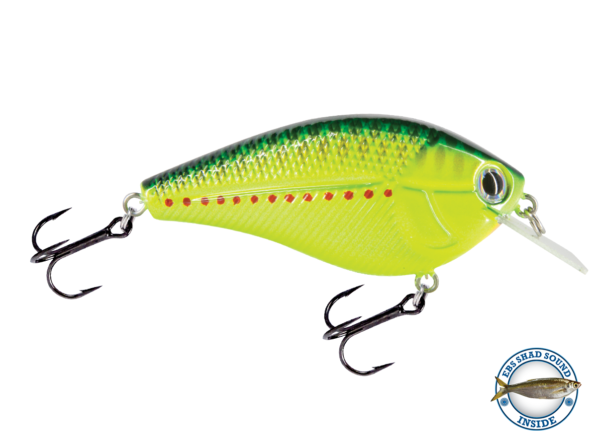 3x22 5mm tritium fishing lure Primetyme SQ 2.0 Discover 19 Fishing and Striking brilliance and incredible Color:218 Ayu Berkley Cherrywood HD