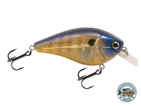 Livingston Lures Primetyme CB 2.0 Chrome XXX Shad Tackle, Tackle Boxes -   Canada