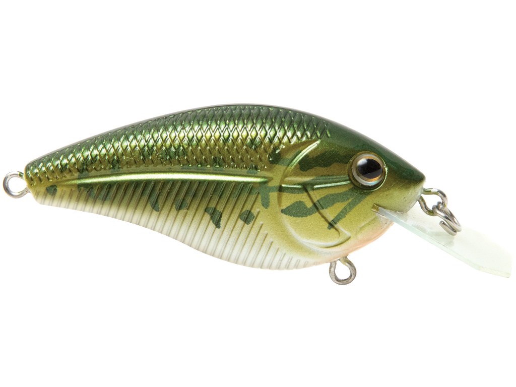 Primetyme CB 1.5 – Livingston Lures