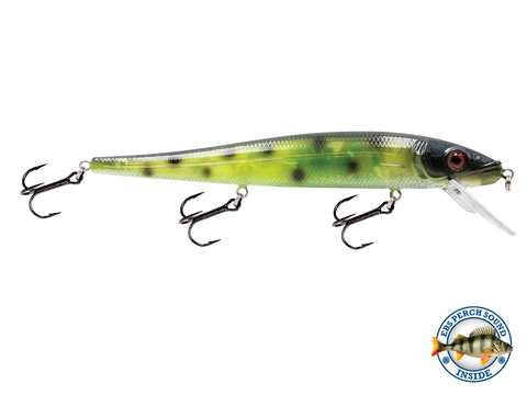 EBS Walleye 136